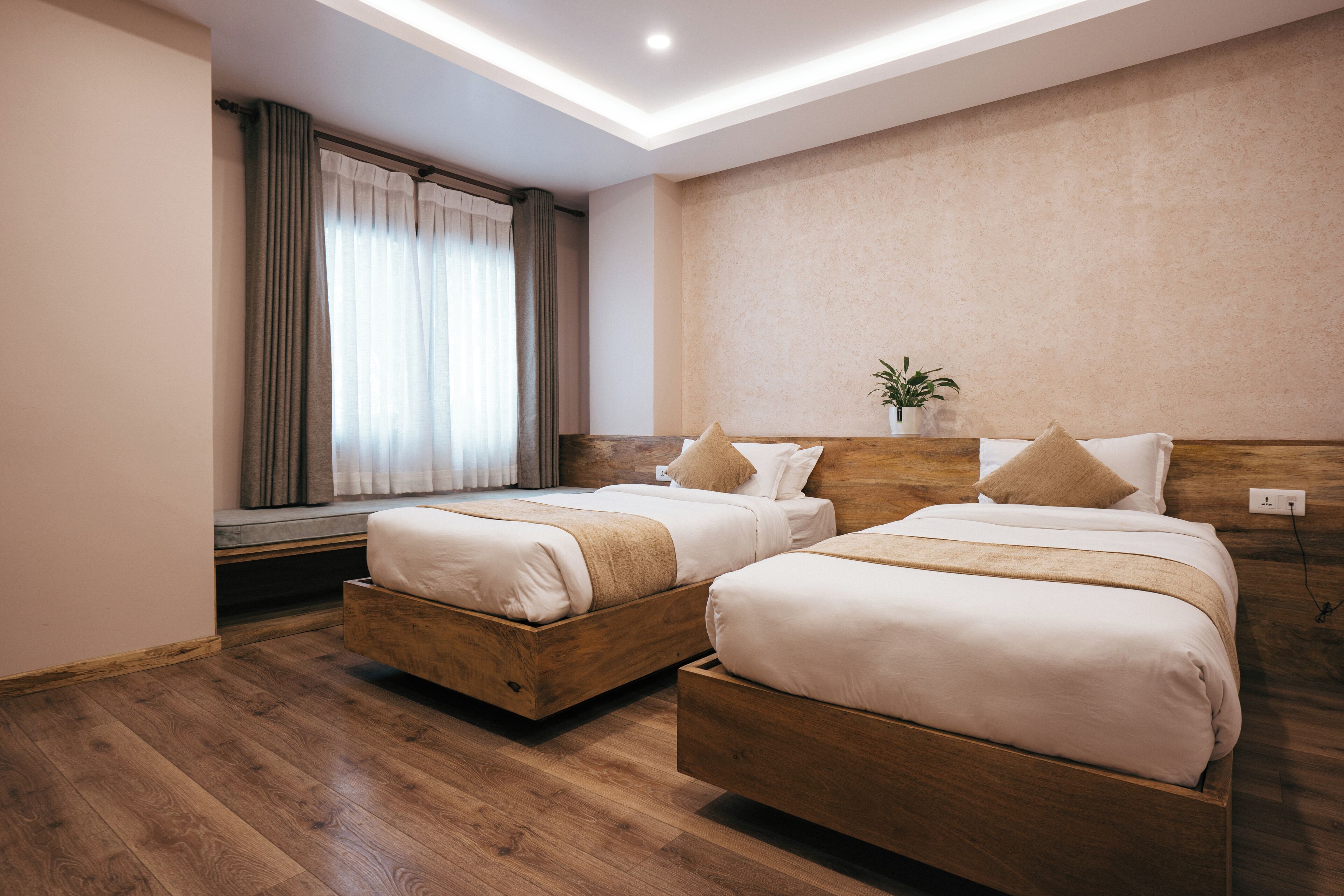 A modern hotel room with two wooden beds, a large window with curtains, and a plant on the nightstand.