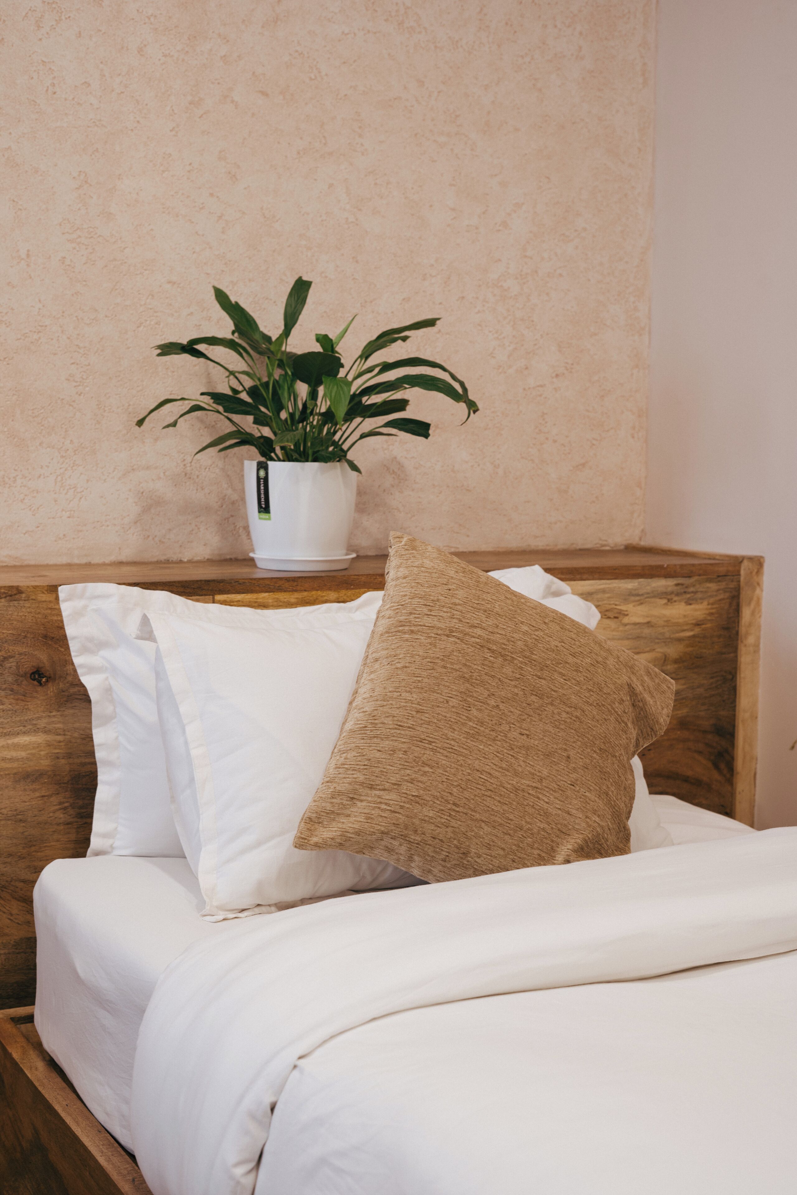 A bed with white bedding, a brown pillow, and a white pillow. There is a white potted plant on a wooden nightstand beside the bed.