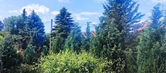 Ferienwohnung 2 am Hofladen Hellendorf - Sächsische Schweiz