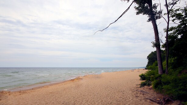 Une plage avec un rivage sablonneux et une mer calme.