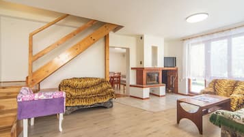 TV, fireplace