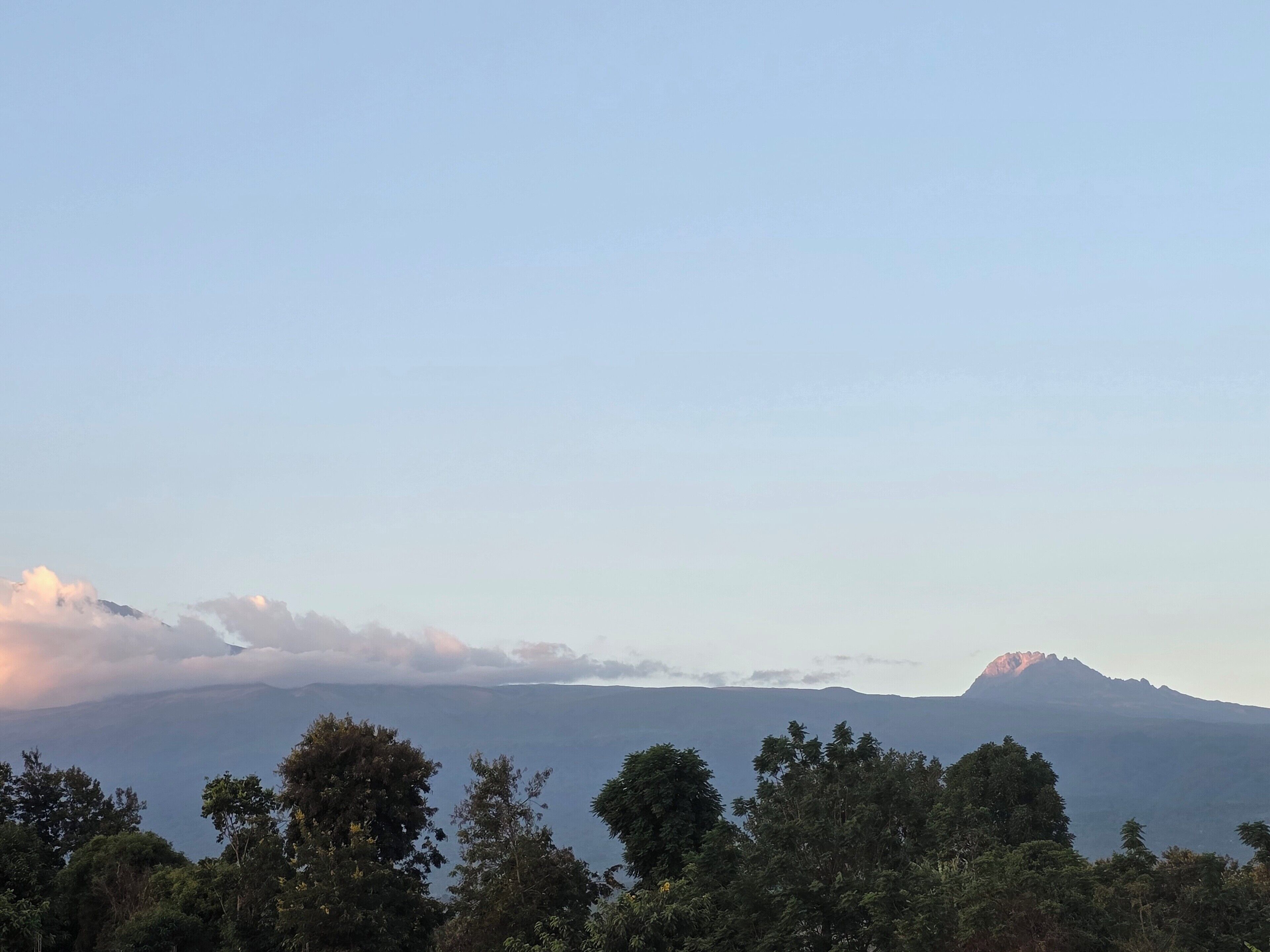 A mountain landscape with a clear sky and dense forest in the foreground.