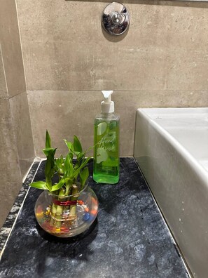 Shower, towels, soap, shampoo - Exquisite 1BR in a villa with private kitchen (Indore)