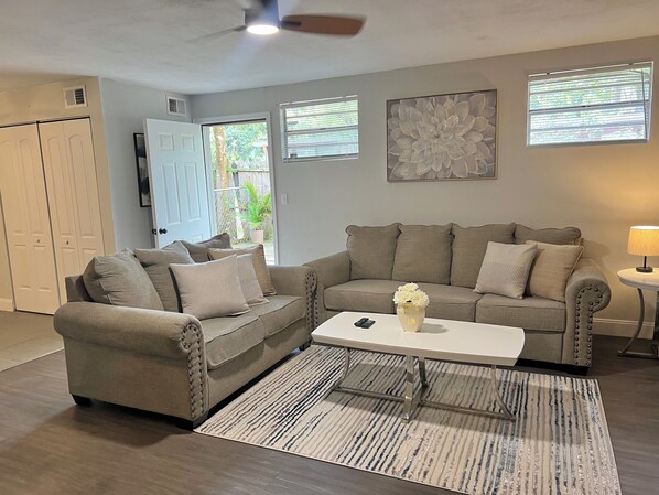 Smart TV, chimenea y libros 