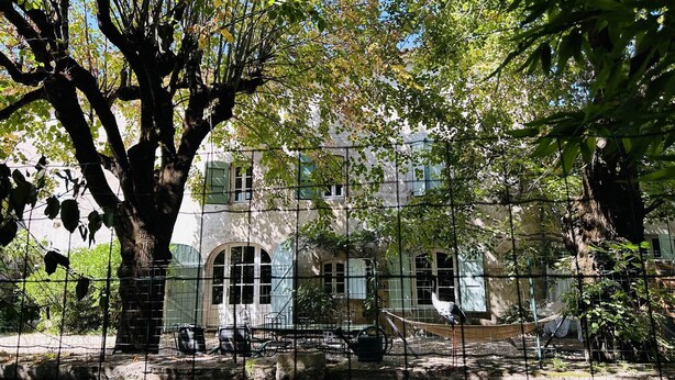 Un grand arbre se dresse devant un bâtiment doté de fenêtres en arc de cercle et d’une clôture.