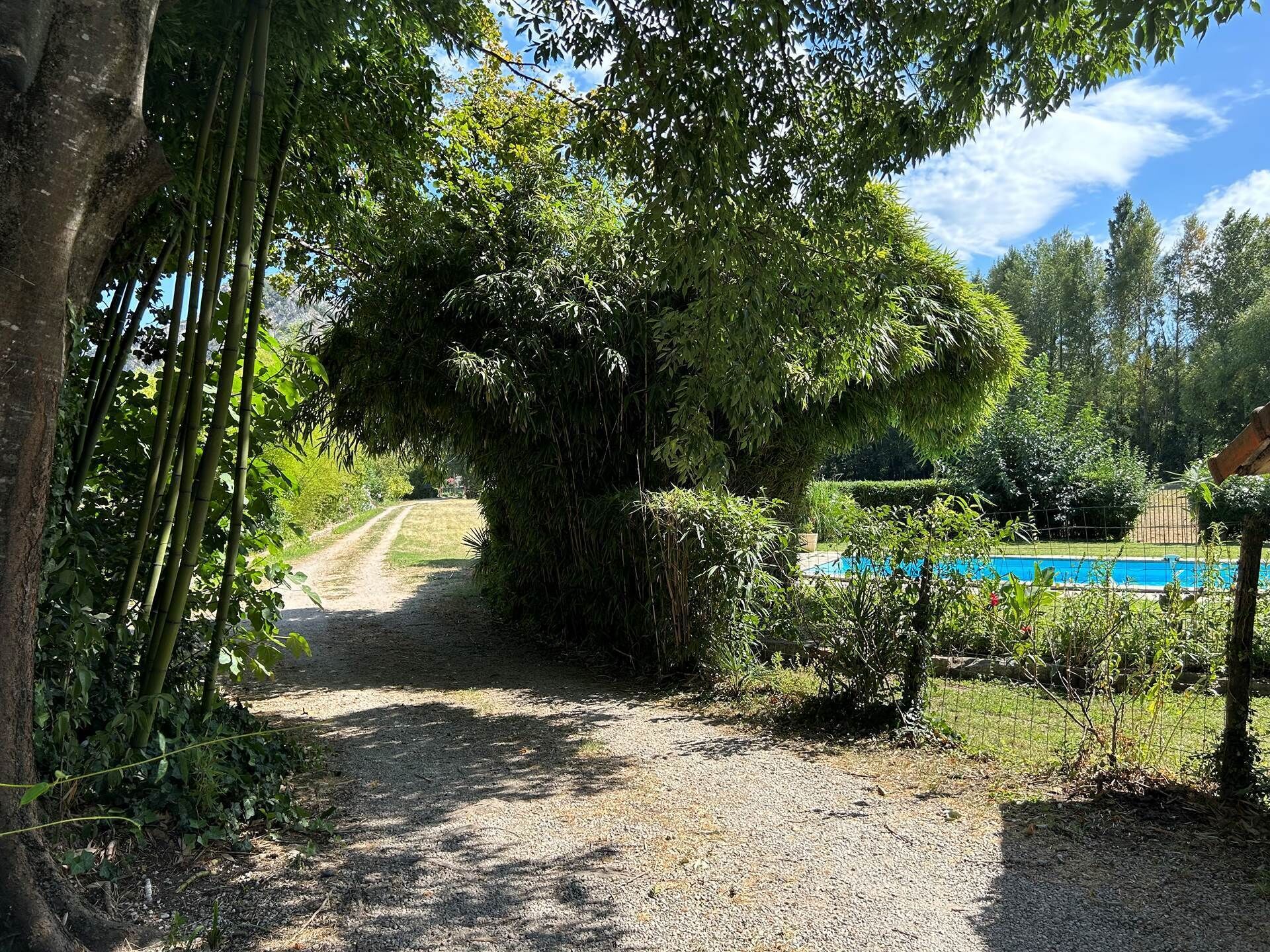 A gravel path leading to a pool surrounded by lush greenery and trees.