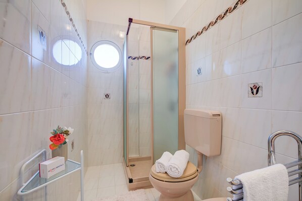 Shower, hair dryer, bidet, towels