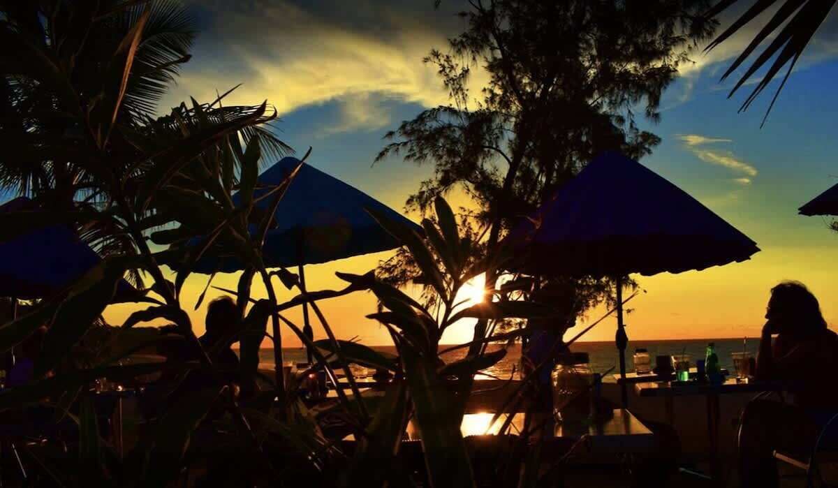 A beachside restaurant with outdoor seating, palm trees, and umbrellas.