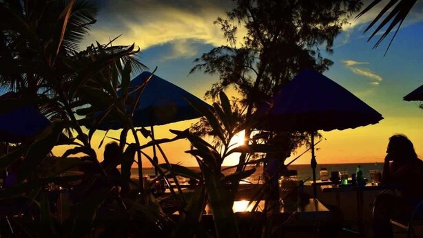Un restaurant situé en bord de mer, avec une terrasse, des palmiers et des parasols.