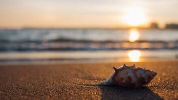 A seashell on a beach with the sun setting in the background.