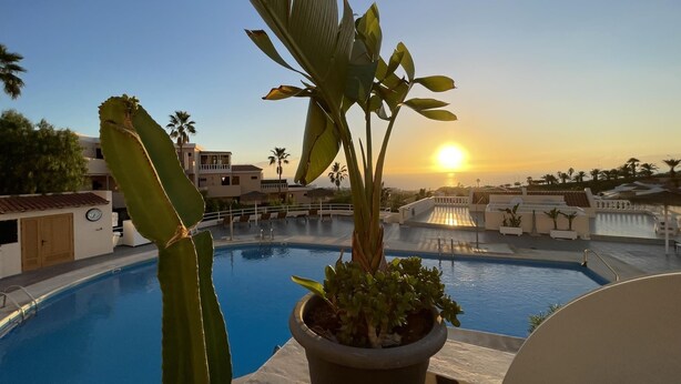 Área de piscina com vista para o pôr do sol, um cacto e plantas em vasos.