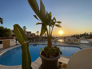 A pool area with a sunset view, a cactus, and potted plants. - 108 Parque Cristina, Ocean View, Heated Pool (San Eugenio Alto)