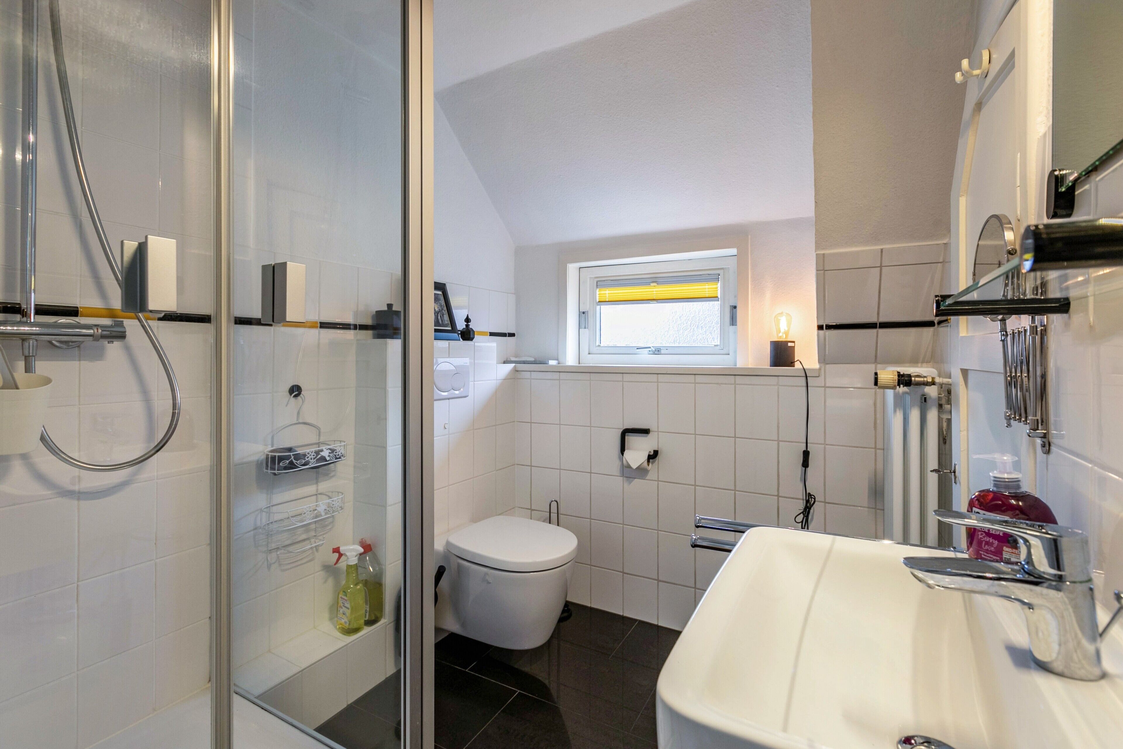 Dusche, Haartrockner, Handtücher