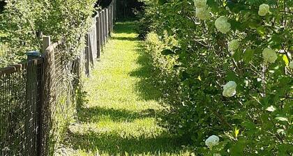 Ferienhaus 'Bodebaude' mit Bergblick, privater Terrasse und WLAN