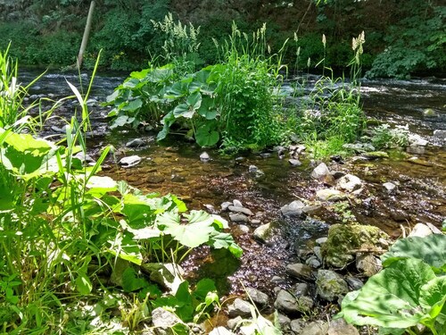 Holiday Home 'Bodebaude' with Mountain View, Private Terrace and Wi-Fi