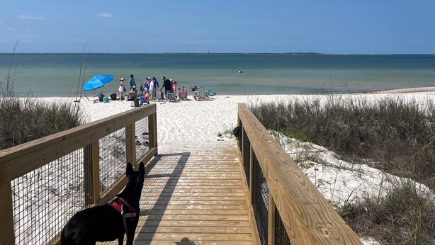 A wooden boardwalk leading to a sandy beach with a clear view of the ocean.