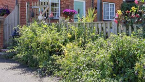 A brick house with a wooden fence, a green door, and a window with a flower box. - The View (Faversham)