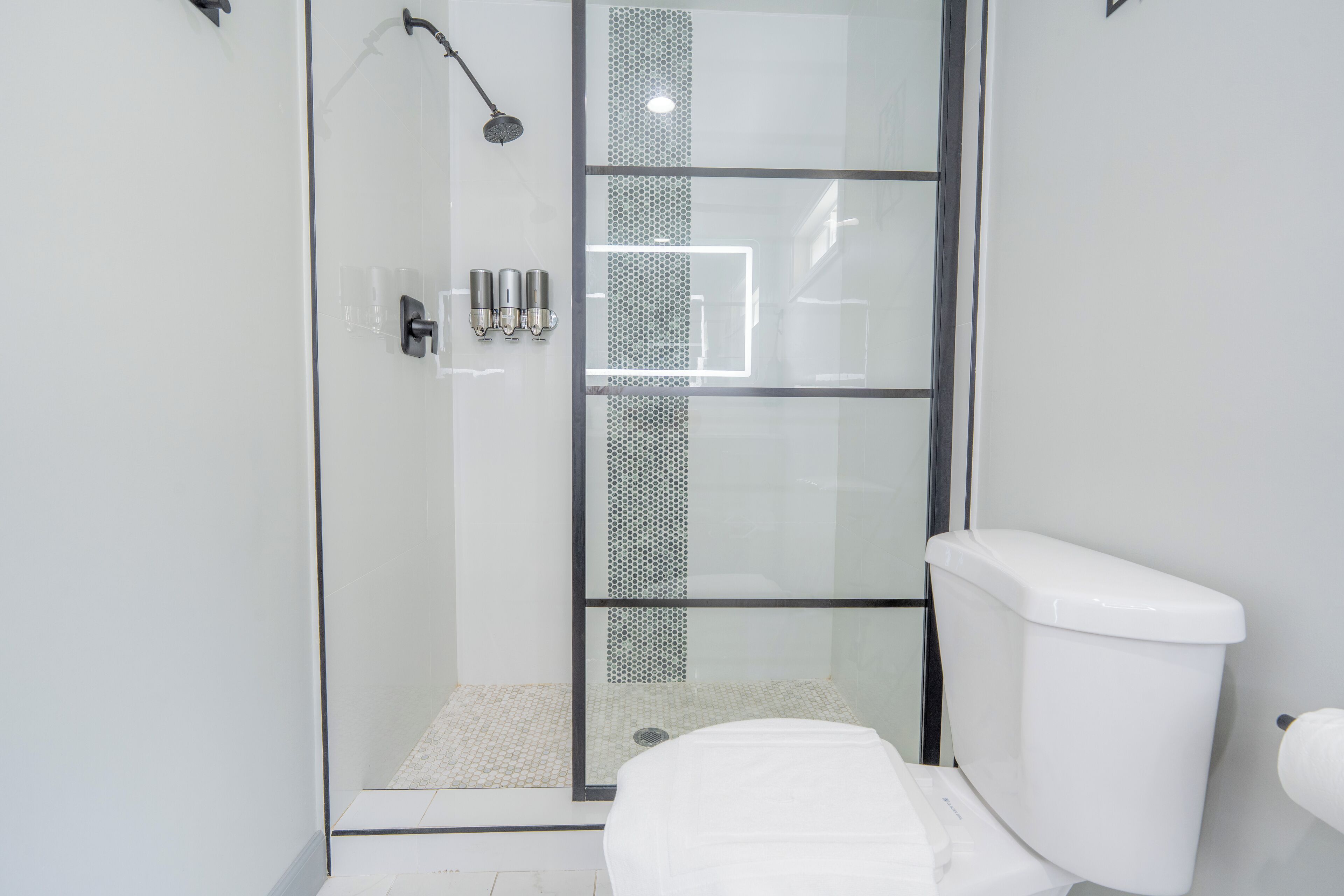 Une salle de bain moderne avec une douche à parois de verre, des toilettes blanches et une pomme de douche visible.