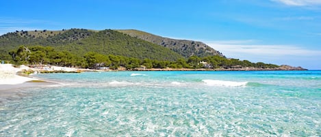 Playa