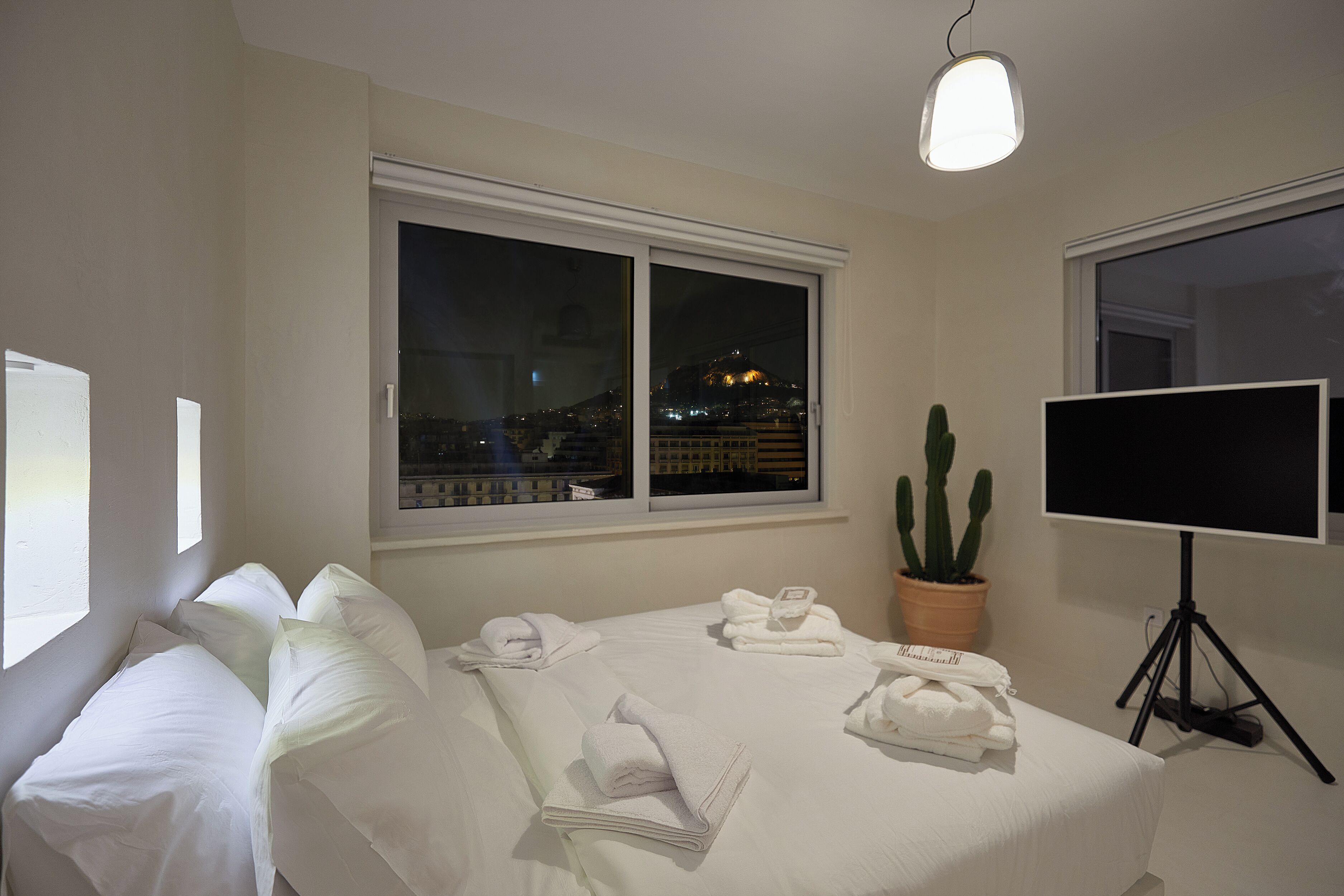 A hotel room with a bed, a potted cactus, a TV on a tripod, and a city view through the window.