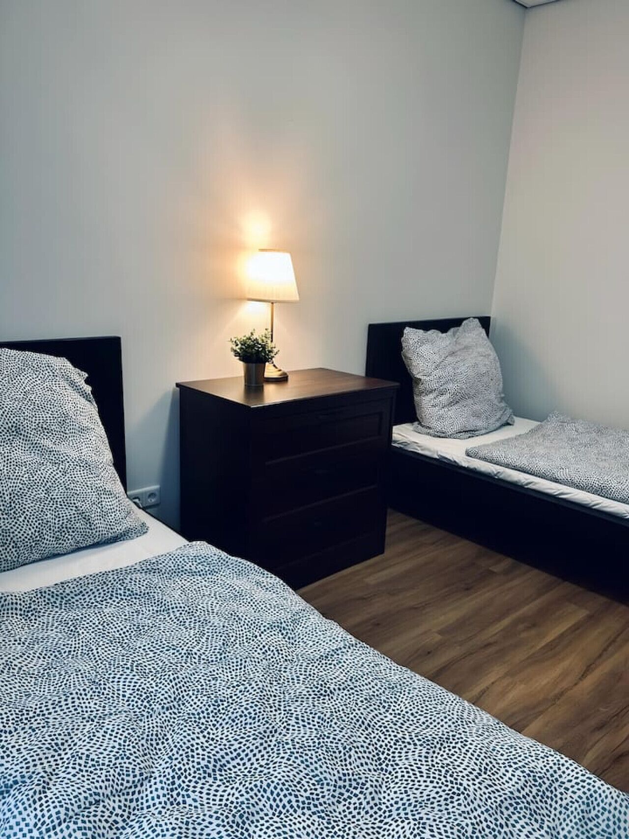 A bedroom with two beds, a nightstand with a lamp, and a small potted plant.