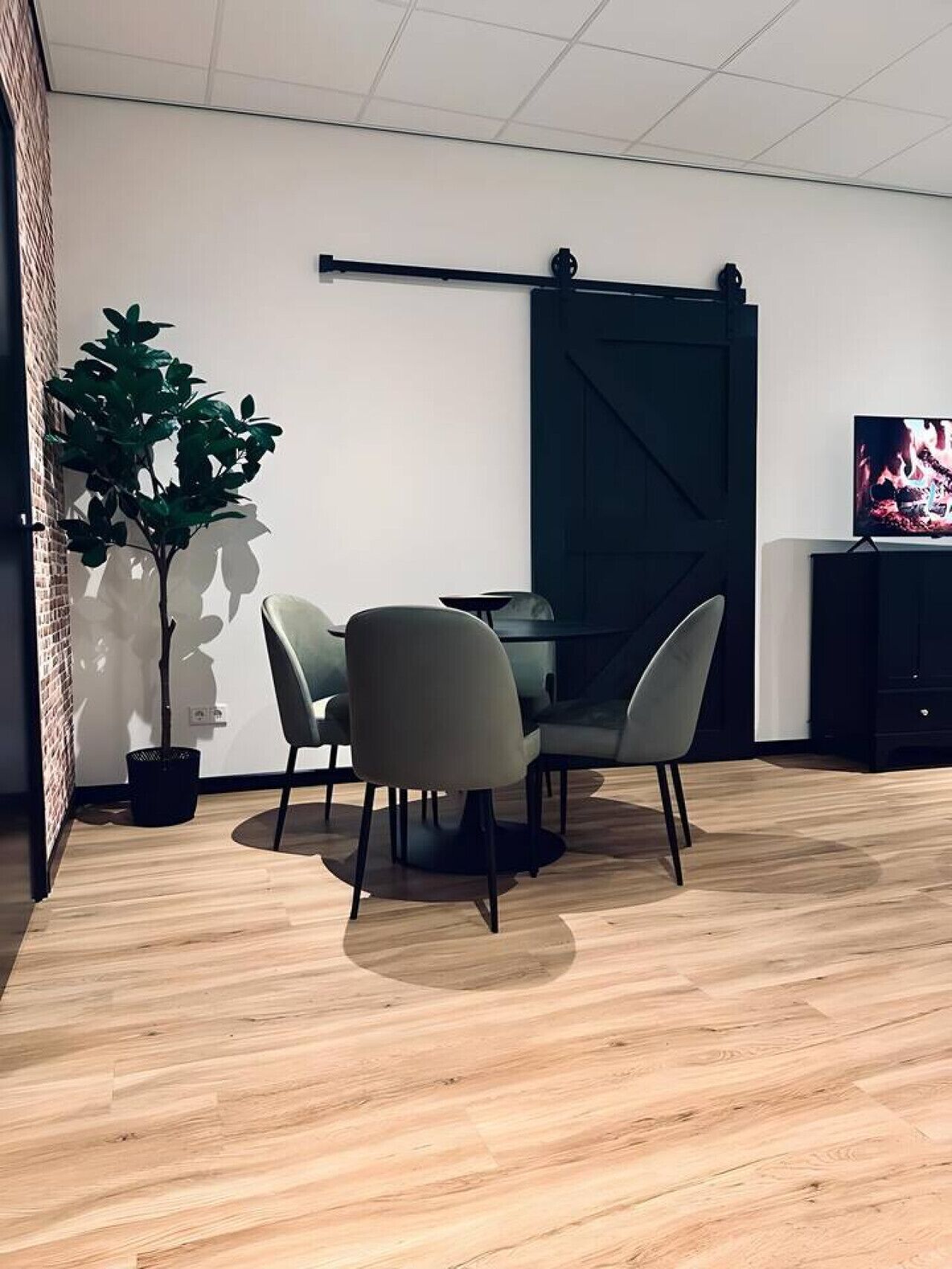 A modern dining area with a round table and four chairs, a potted plant, and a television on a cabinet.