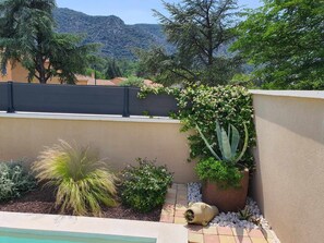 A landscaped garden with a variety of plants, a cactus, and a decorative pot.