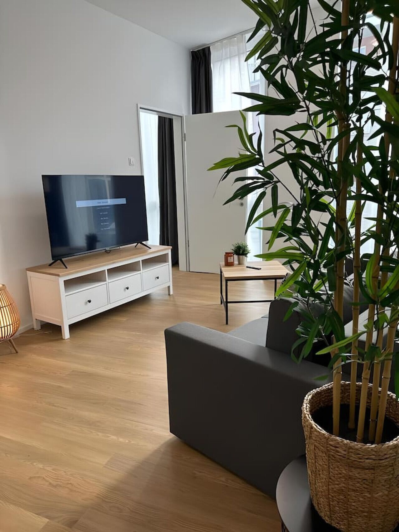 A modern living room with a flat-screen TV on a white TV stand, a grey sofa, a small table, and a large potted plant.