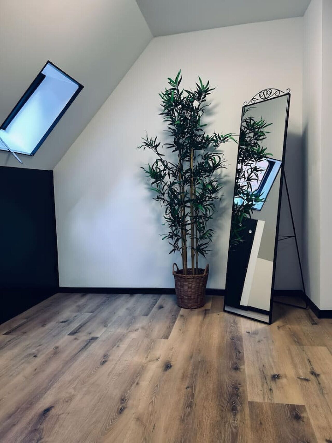 A room with a wooden floor, a large mirror, and a potted plant.