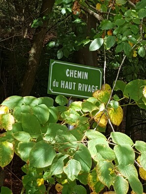 Yksityiskohta ulkoa