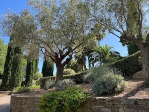 Jardines del alojamiento
