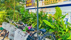 Bicycles parked under a yellow umbrella, a sign reading "Villa Bao Anh", and lush greenery. - Blue Fish Villa (Da Nang)