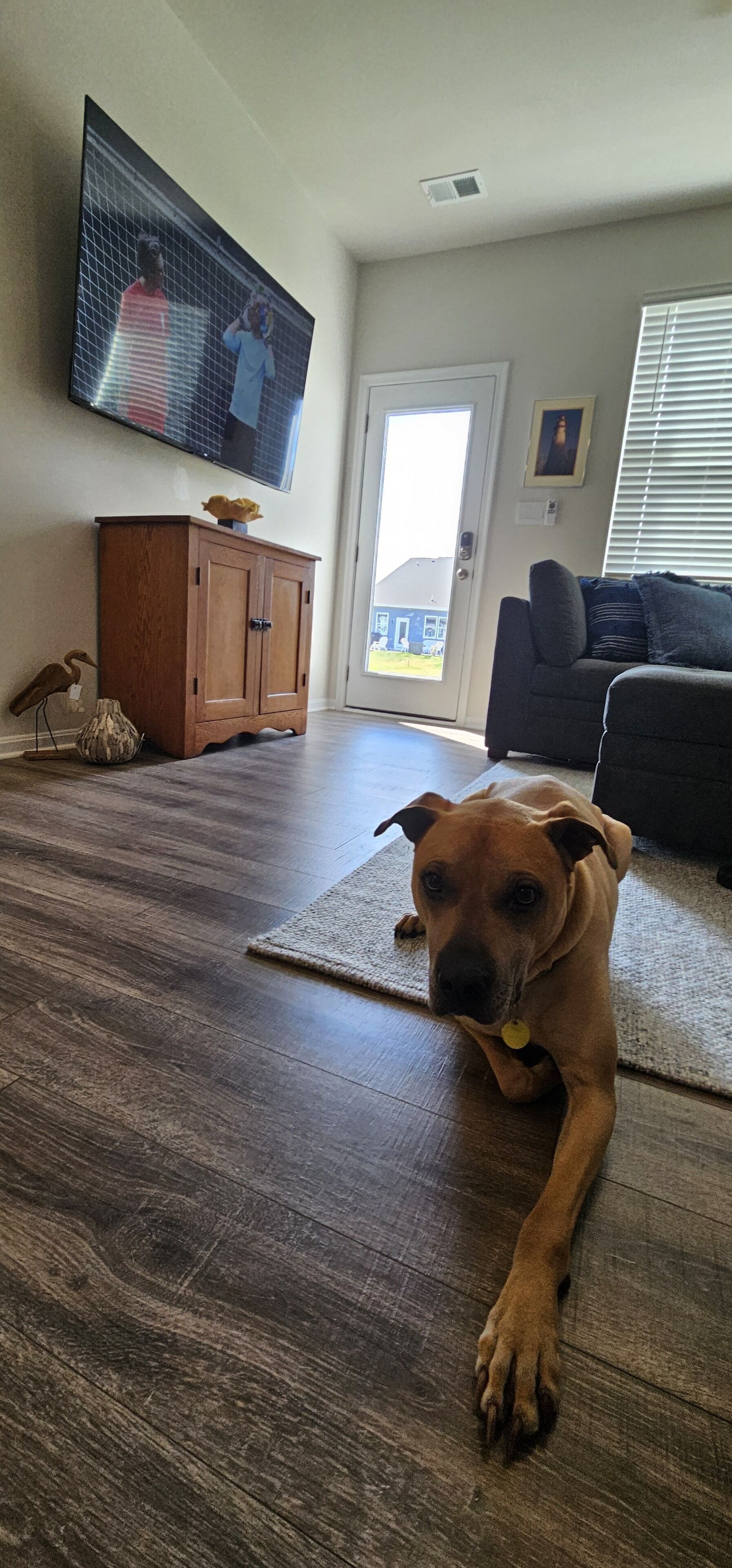 Un perro recostado sobre un piso de madera en una sala de estar con un televisor, un armario y un sofá.