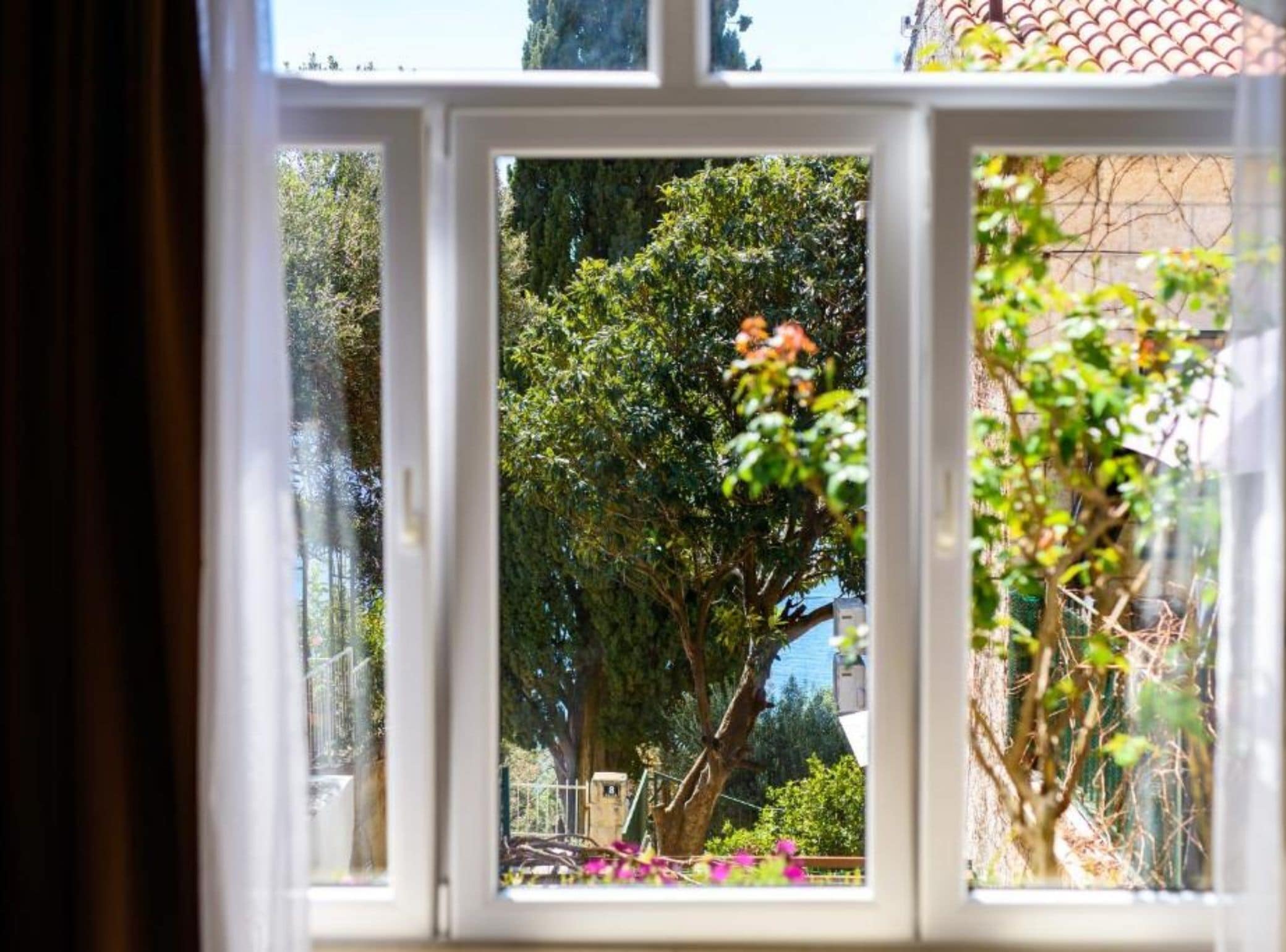 A window with a view of a garden, including a tree and some flowers.