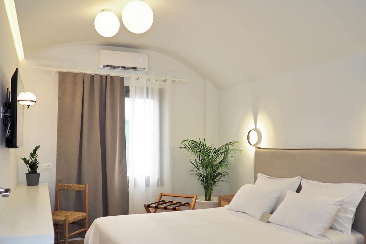Una habitación de hotel con cama, escritorio, silla, planta en maceta y aire acondicionado.