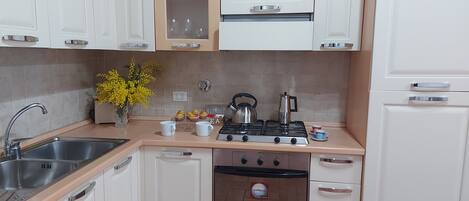 Fridge, oven, stovetop, coffee/tea maker