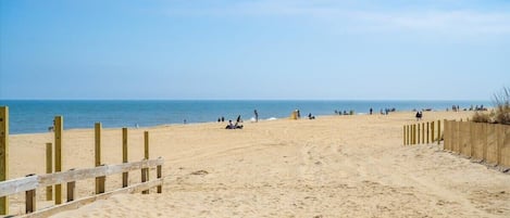海灘