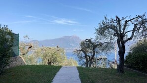 Ein Weg, der zu einem Gewässer mit Bäumen und einem Berg im Hintergrund führt.