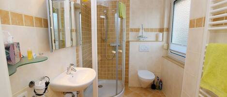 Shower, hair dryer, towels