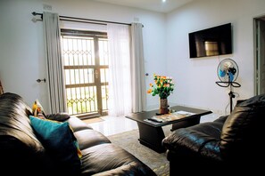 Living area - Luxury 2 Bed Self Catering Apartment in Masvingo (Masvingo)