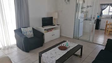 Televisión y chimenea