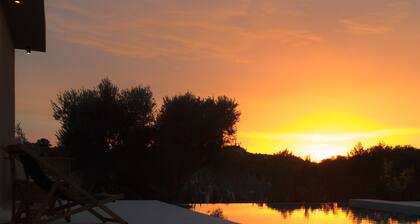 O Mikros Kosmos - Adults Only