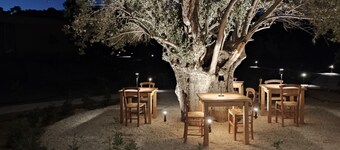 O Mikros Kosmos - Adults Only