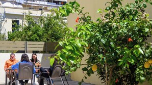 A group of people seated at an outdoor table with chairs, a potted plant with green leaves and a few red flowers, and a building with balconies in the background. - Ilianas Home - Kalamata Mediterraean Suites & Villas (Kalamata)