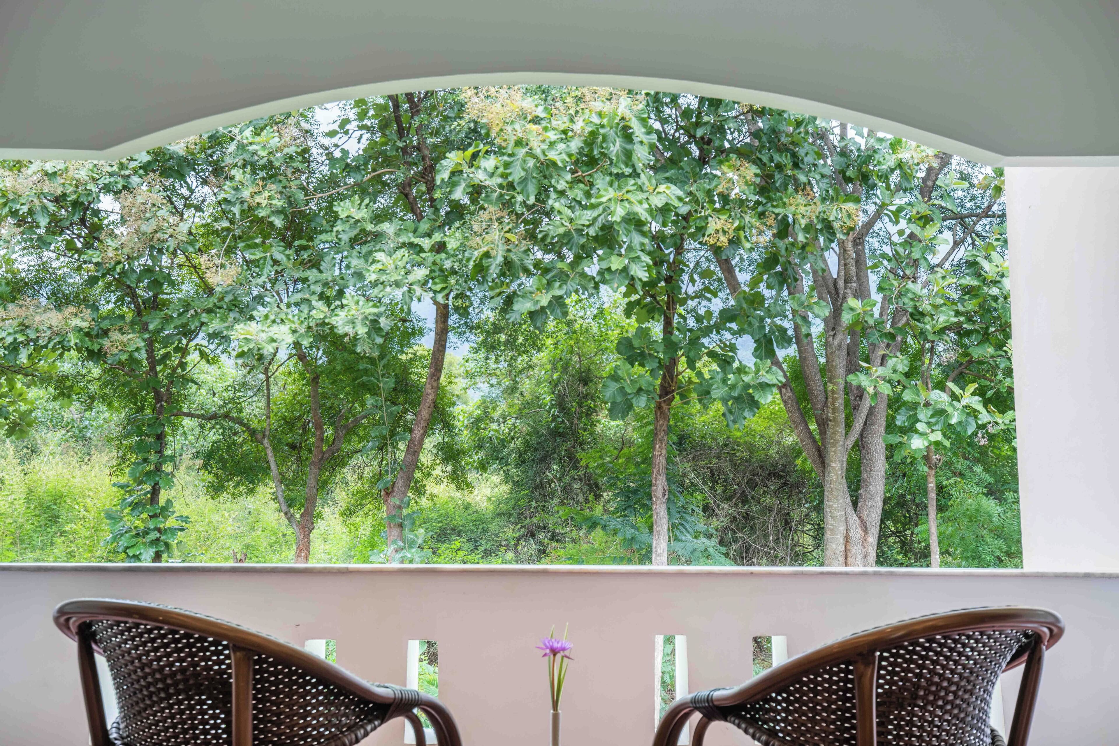 Una habitación con vistas a un bosque a través de un ventanal grande, dos sillones de mimbre y un jarrón con una sola flor.