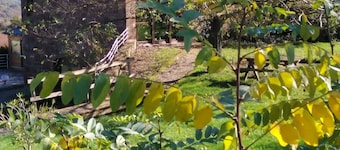 Domaine du Mas Naut