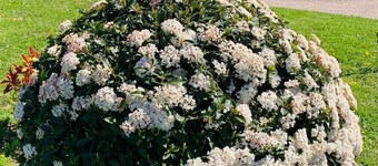 Cozy cottage with 1 bedroom near Cordes Sur Ciel with AC & WiFi