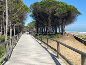 A wooden boardwalk with railings, surrounded by trees, leading to a sandy beach area.