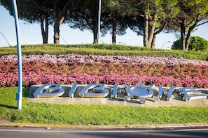 A sign with the word 'BIBLIOTE' in large letters, surrounded by a landscaped area with trees and flowers.