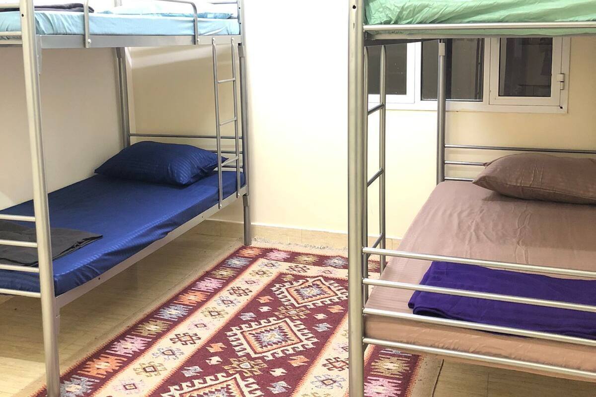 A dormitory room with bunk beds, a patterned rug, and a window with a view.